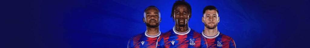 finned x wing sudoku
